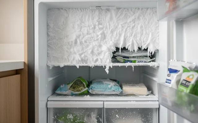 Defrost & Ice Buildup in Bengaluru